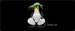 Linux
